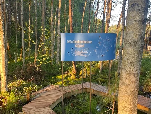 Molutamine ja mittemidagi tegemine loovusrajal
