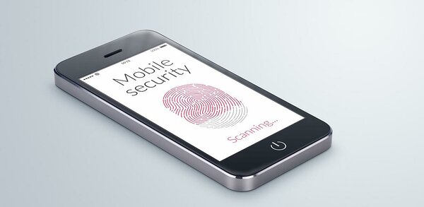 Biometric authentication using fingerprint scanning