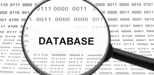 Database inspecting and cleaning concept