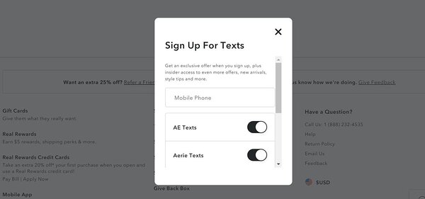 American Eagle Outfitters - SMS popup screenshot