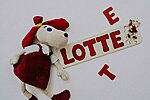 KAUNISTUS 2. VÄLJAKÄIV DETAIL. (SEDA PUSLET SAAB TELLIDA LOTTE TOODETE ALT)