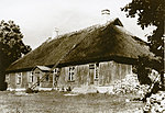 Saaremaa Muuseum, 4038:17 - u 1920. aastad