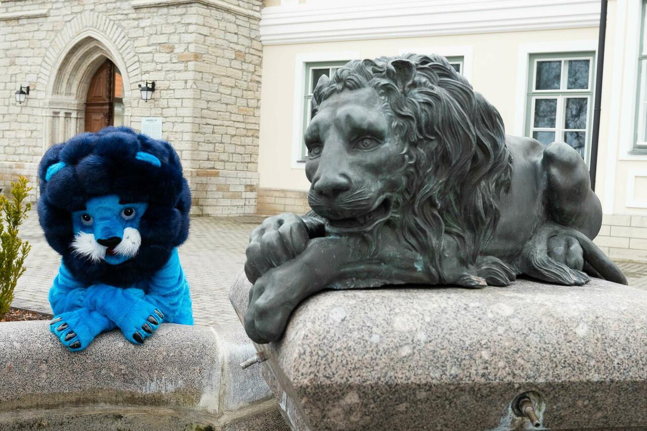 sinise lõvi lõu(N)apoolik: Sinine Lõvi jahib linde