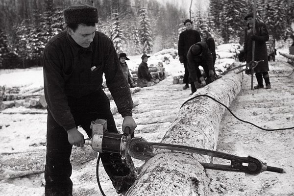 1945 - establishment of forest industry centres. Here motorist H.Talts from Pärnu forest industry centre is seen working in 1951. Photo: National Archives of Estonia, film archive, Järve, E.