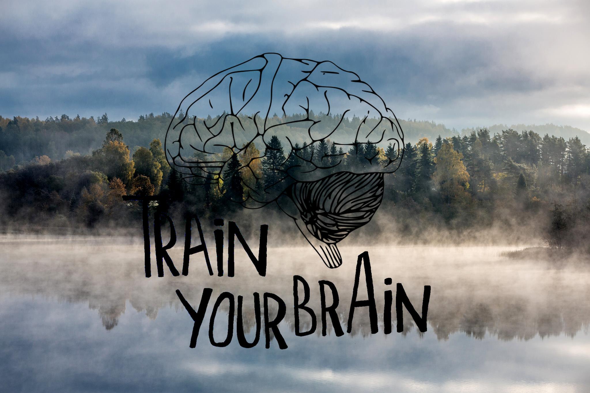 Brain Battle — Aparaaditehas