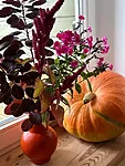 Pumpkins from our garden