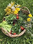 Vegetables and flowers from Altmõisa&#x27;s garden