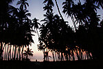 Ngapali beach on sunset, Myanmar