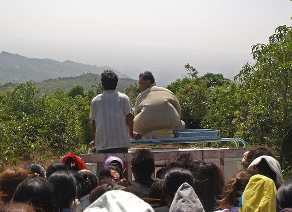 in the back of the truck