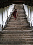 a novice on his way to the temple, Thaton, Myanmar
