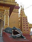 crocodile in the temple