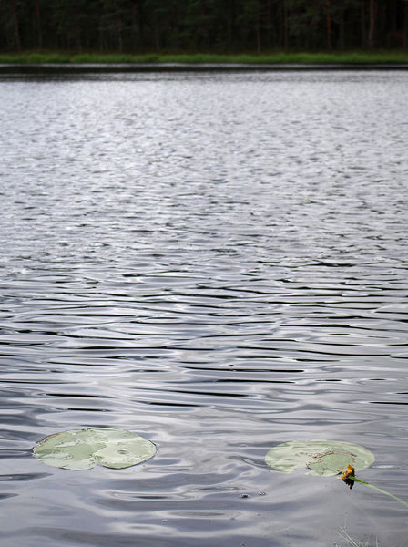 Harakajärv