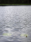 Harakajärv lake