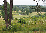 view from Reevimägi hill