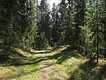Sakala trail