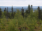 view from Kumpuvaara