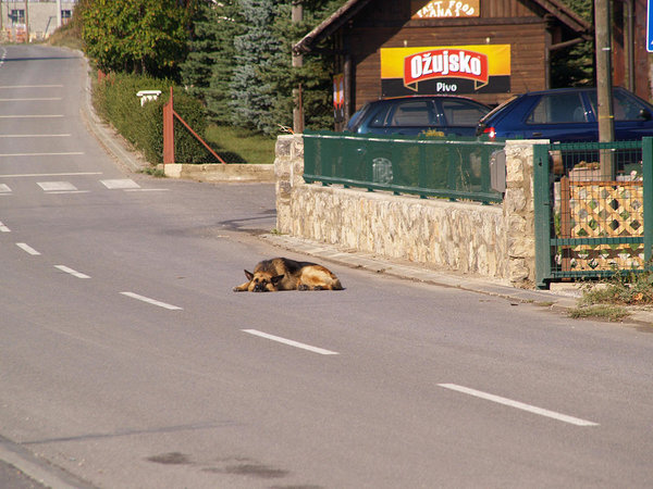 in Krasno (sorry, I did meet someone there)