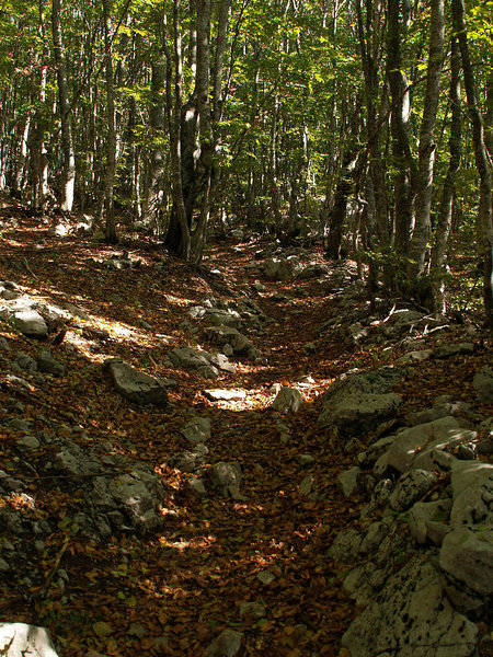 trail in Severnj Velebit