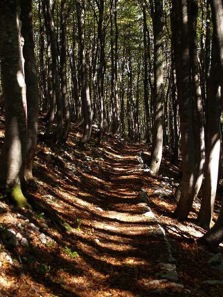 Severnj Velebit