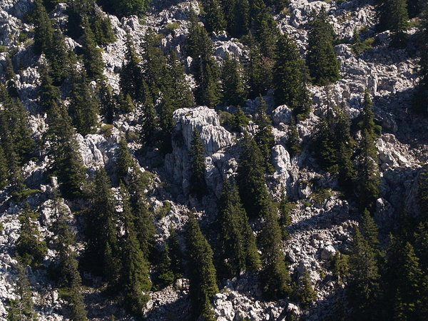 Severnj Velebit