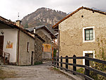 Mole village