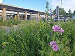 Torino Lingotto, raudteejaama ümbrus