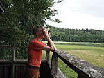 linnutornis
