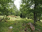 Lenholmen