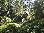 Inikorpi mets