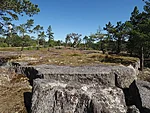 saaremaastik
