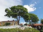 Naantali