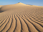 white dunes