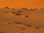 red dunes