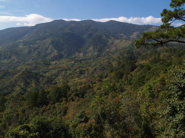 from the road to Nha Trang
