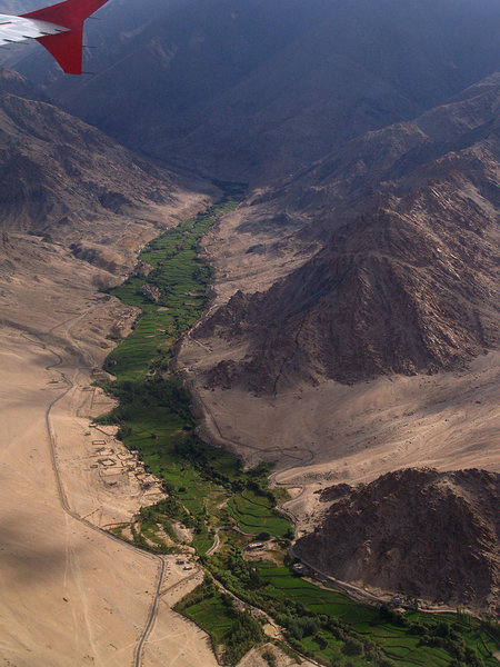 Phyangi org