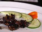 fried grasshoppers, tasted like burnt bread