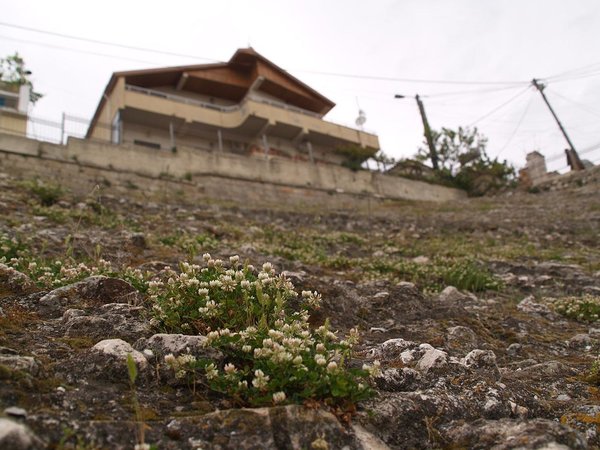 in the amphitheater