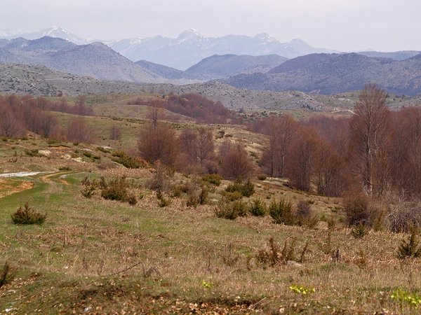 Shebenik-Jabllanice National Park