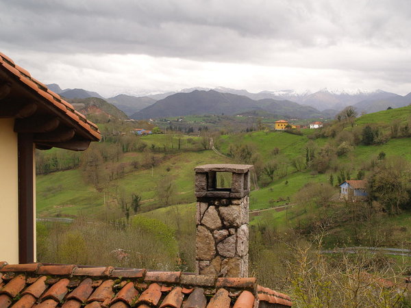 view from the window of my room