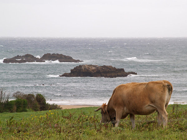 playa de Tombara