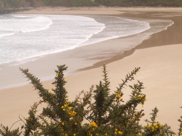 playa de Torimbia