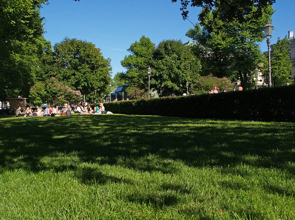 grass and shade