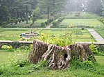 Shimla, garden of the summer residency of the British