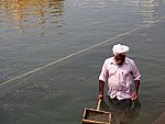 a man cleaning the pond in Golden Temple