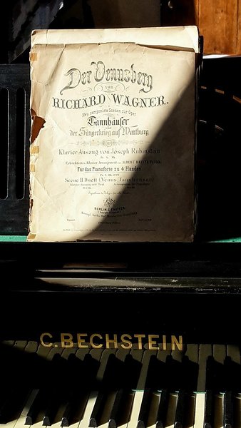 Wagneri tubades