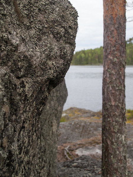 on Pitkäsaari