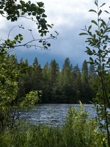 in Pyylinoja