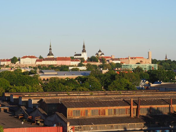 view from the roof
