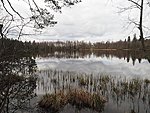 Kalijärv lake