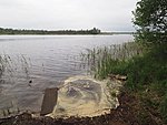 Suurjärv lake